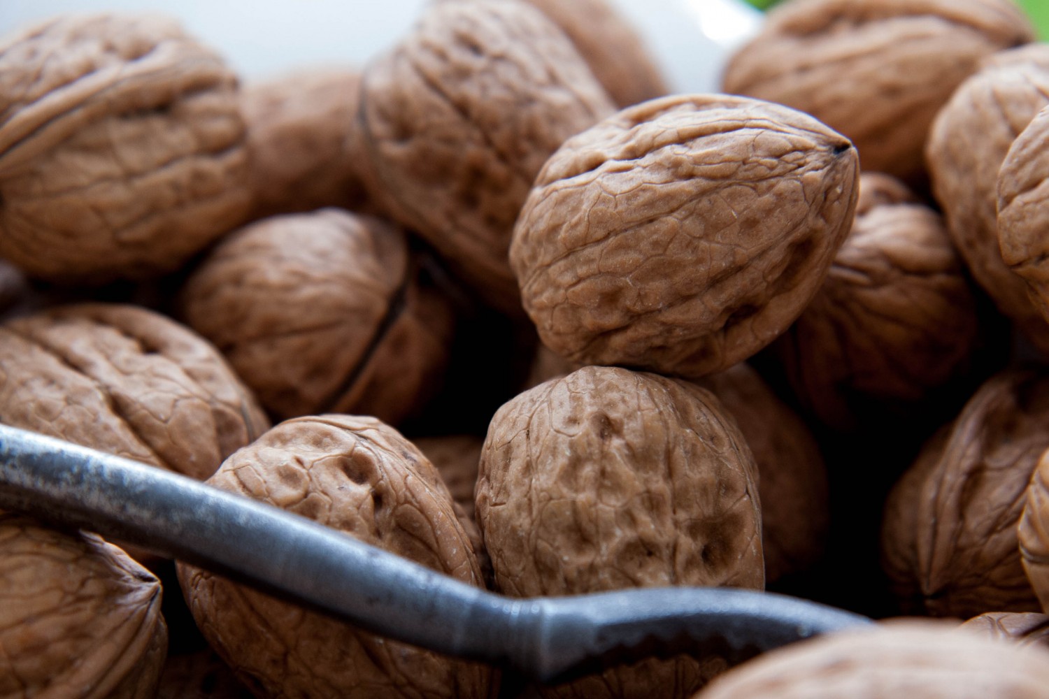 Nuts and Your Health Must Know!